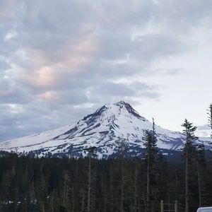 Meet your Posher, Yang